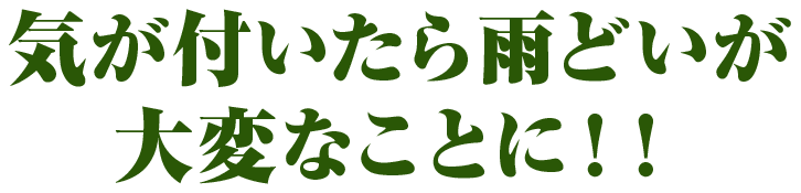 気が付いたら雨樋(雨どい)が大変なことに!!