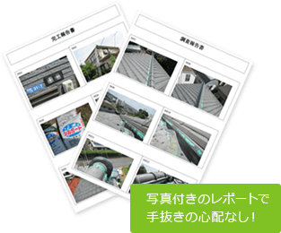 ʐ^t̃|[gŎ蔲̐SzȂI