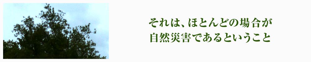 ́AقƂǂ̏ꍇRЊQłƂ