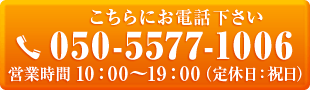 ɂdbITEL 050-5577-1006icƎ10F00`19F00ixFjjmEÉΉ