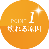 yPOINT1zJiJǂj錴