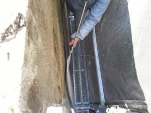 20160226_113626 - コピー