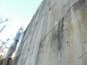 写真 2016-02-08 14 20 15