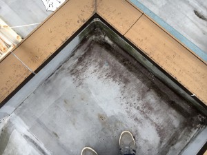 写真 2016-04-03 14 50 41