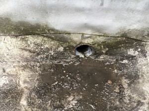 写真 2016-04-03 14 50 44