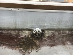 写真 2016-04-03 14 50 45