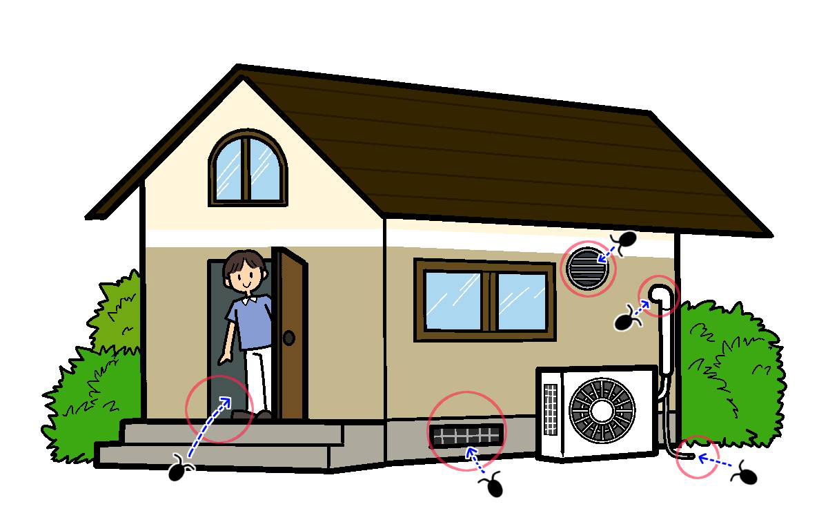 内部からの侵入経路