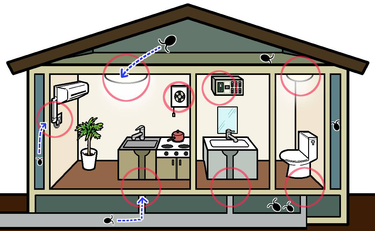 内部からの侵入経路