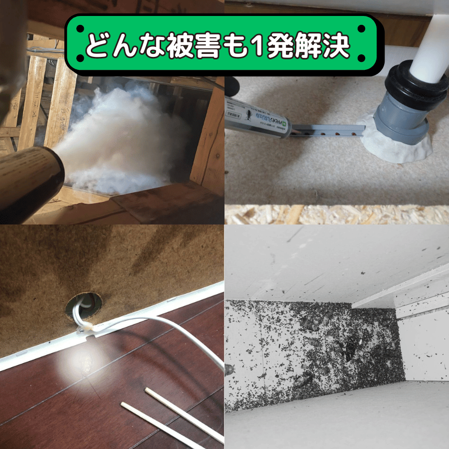 どんな被害も一発解決