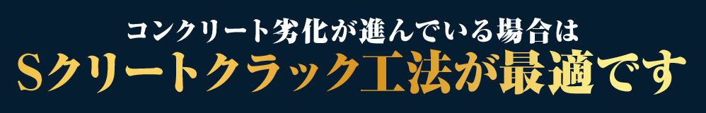 YȂŉIRN[gi^܂ށjCH͐΂SN[gNbNH@ł