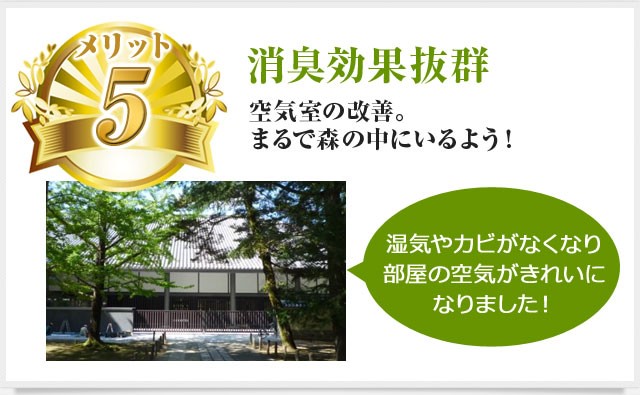 ybg5zLʔQEC̉PB܂ŐX̒ɂ悤IuCJrȂȂA̋CYɂȂ܂Iv