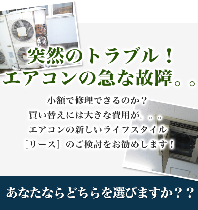 ˑR̃guIGAR̋}Ȍ̏BBȂȂǂIт܂H