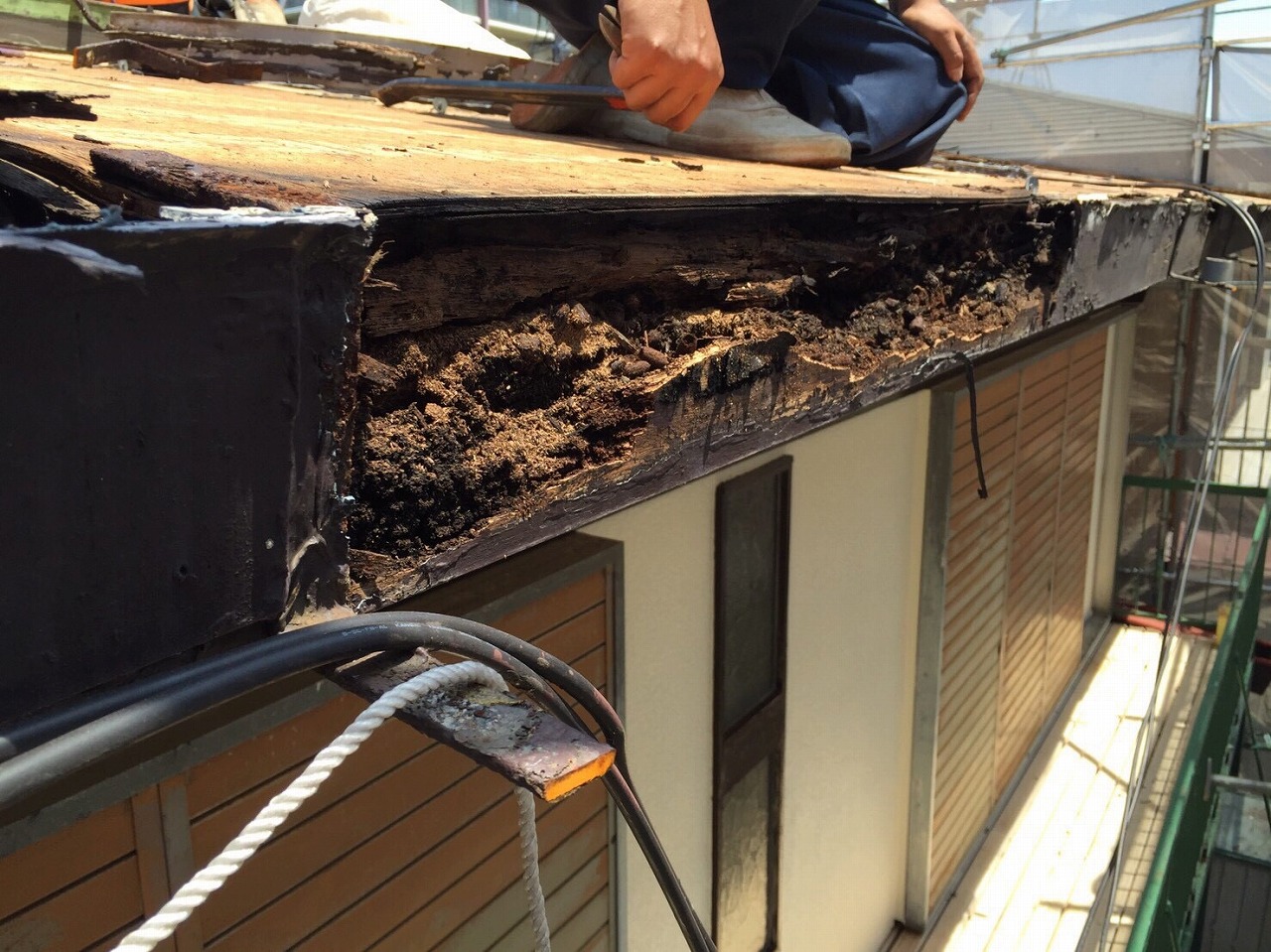 3.�j���̏�