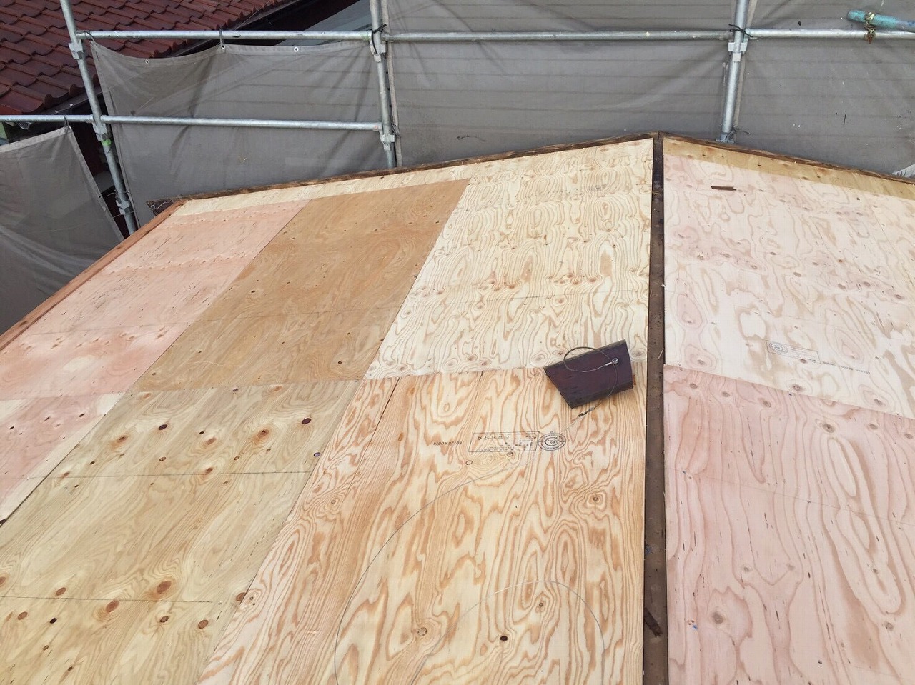 5.�V�K�x�j�����t��