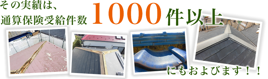 �ʎZ�ی��󋋌���1000���ȏ�