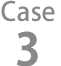 case3