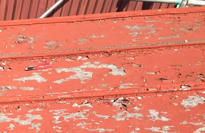 �����h��������