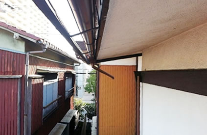 �J�󂪕t���Ă���j��(�J�������Ă���ؕ�)�̏��