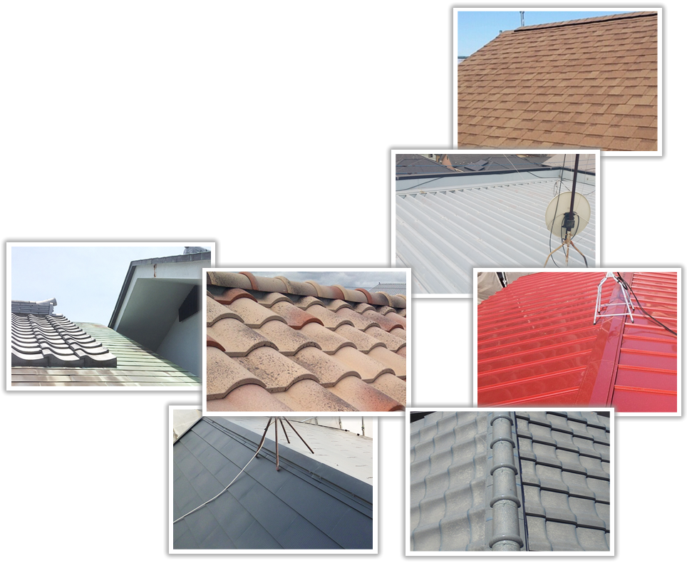 �����H������